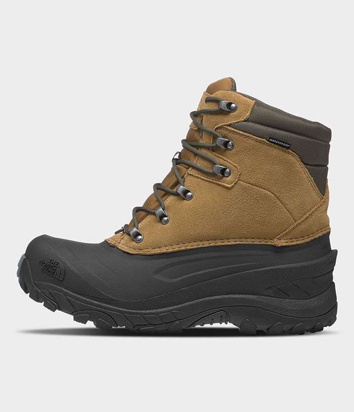 Botas The North Face Hombre Chilkat Iv Marrones - Peru 98635QDFN